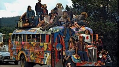 120 Quotes About Hippie Life