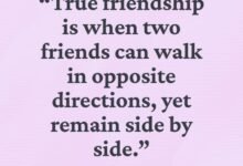 120 Friendship Jealous Quotes