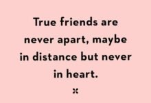 120 Friendship Quotes For Valentine’s Day