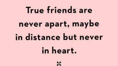 120 Friendship Quotes For Valentine’s Day