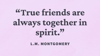 120 Love With Friendship Quotes