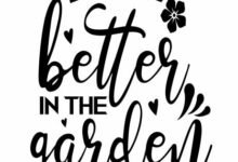 120 Friendship Quotes Quote Garden