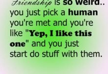 120 Friendship Meaning Quotes