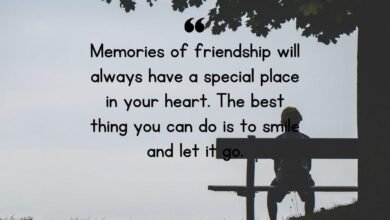 120 Quotes To End A Friendship