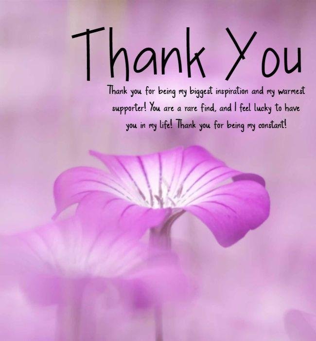 844b39 - 120 Thank You Quotes To Friends And Family