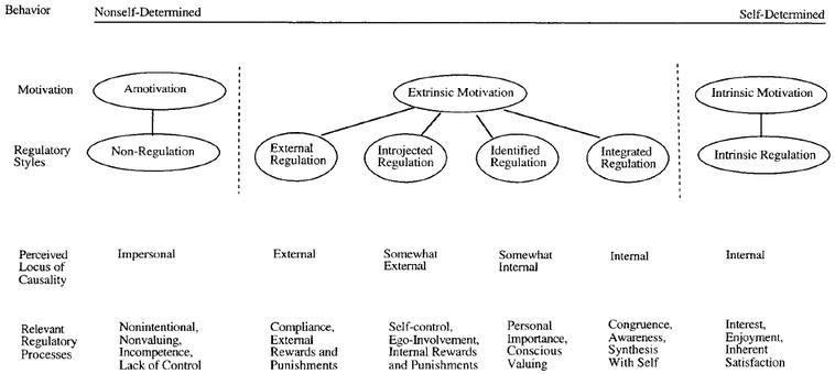 fig1a - 120 Intrinsic Motivation Quotes