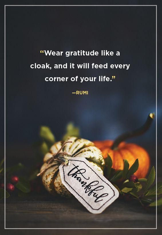 019337 - 120 Happy Thanksgiving Family Quotes