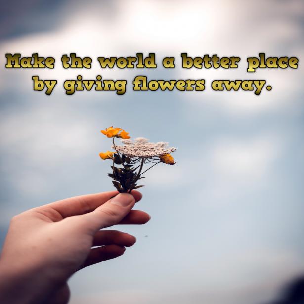 027bip - 120 Flower Quotes About Friendship