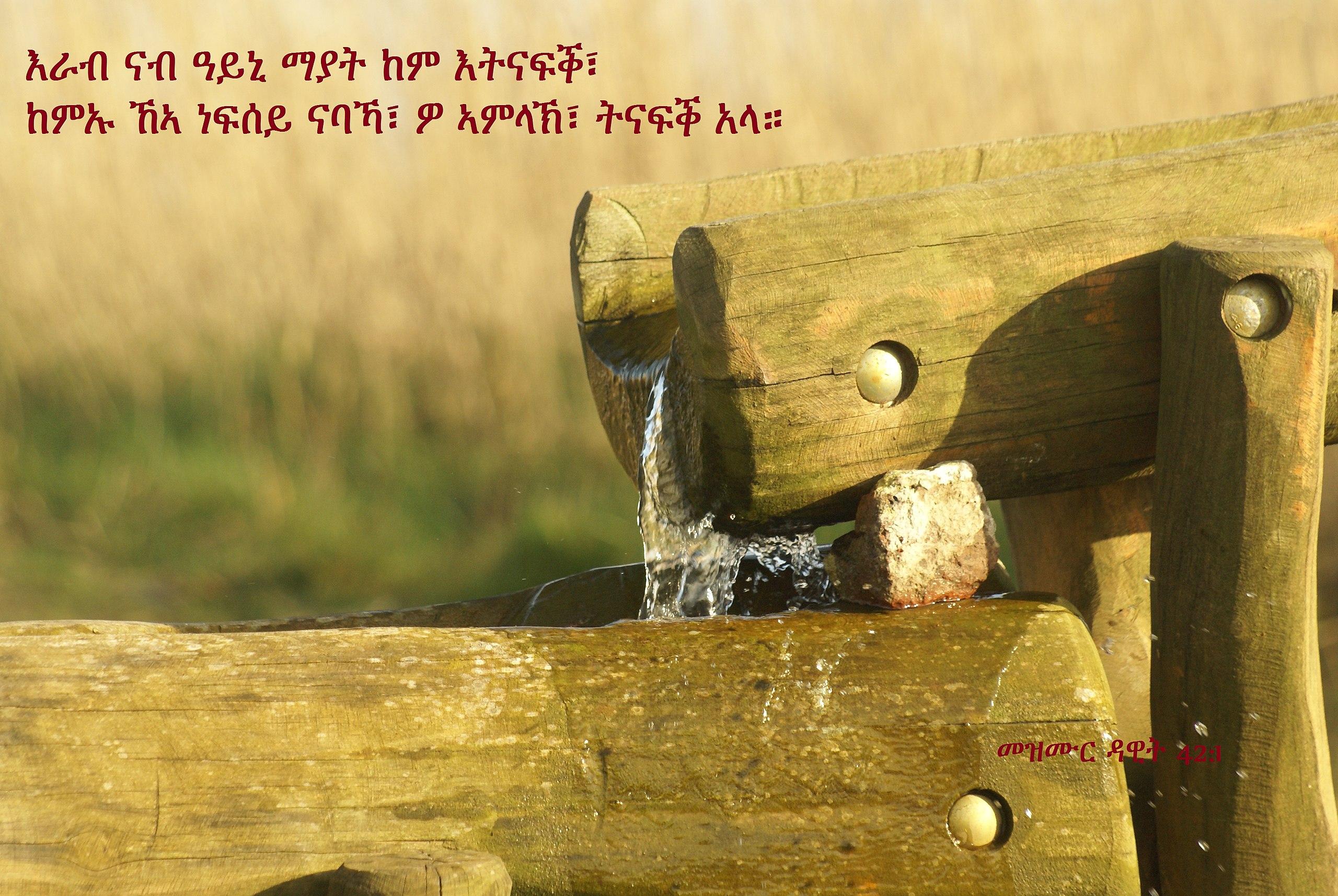 1 2529.jpg6771e7b3e4e3a - 120 Quotes About Friendship In The Bible