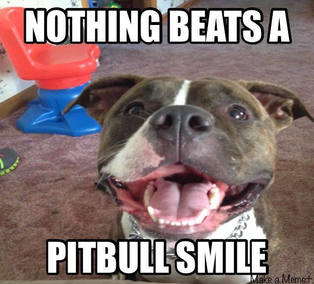 131d z - 120 Memes Funny Friendship Quotes