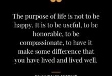 1379 120 nice quotes about life and success 220x150 - 120 Quotes From Buddha About Life