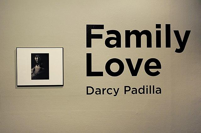 2 2529 - 120 Family Love Quotes Short