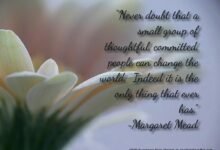 2127 120 adhd motivation quotes 220x150 - 120 Motivational Quotes On Discipline