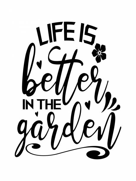2883 120 friendship quotes quote garden - 120 Adventure Friendship Quotes
