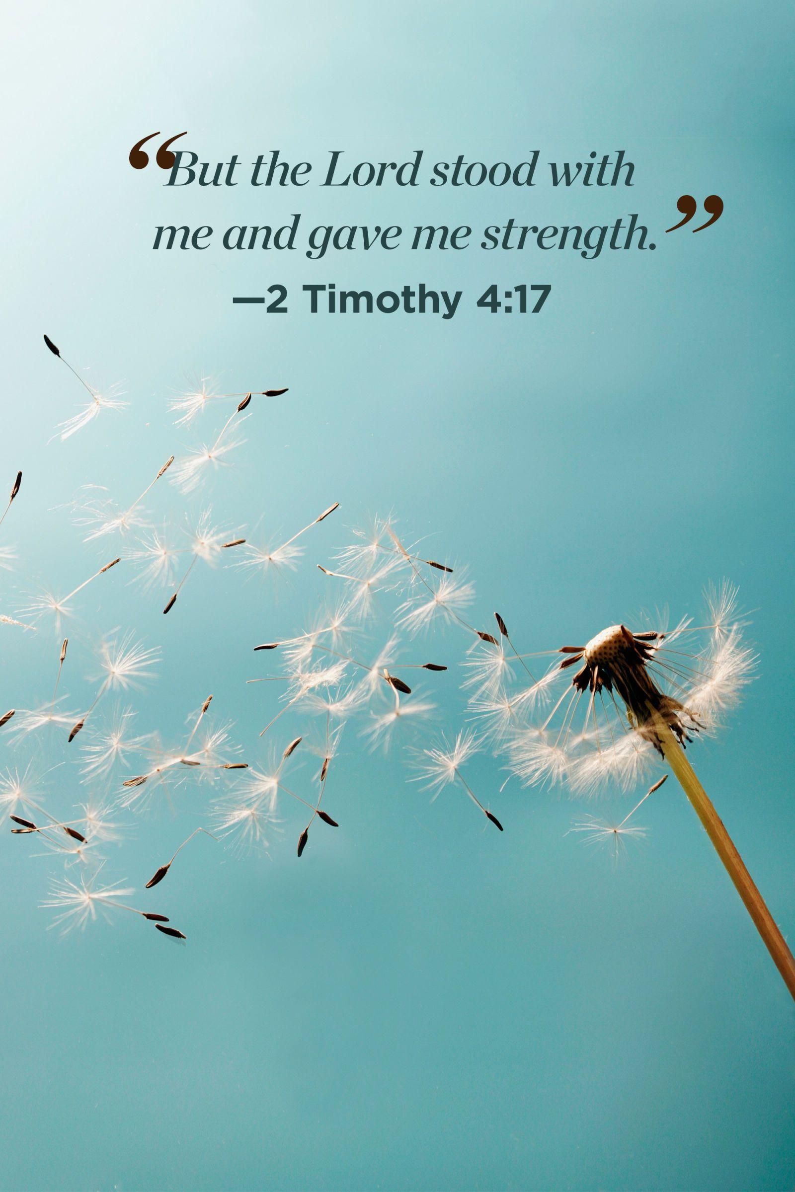 3158 120 motivational bible quotes about life - 120 Life On Earth Is Temporary Quotes