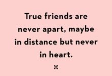 3411 120 friendship through the years quotes 220x150 - 120 Friendship And Happiness Quotes
