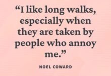 3458 120 funniest modern family quotes 220x150 - 120 Family Meme Quotes
