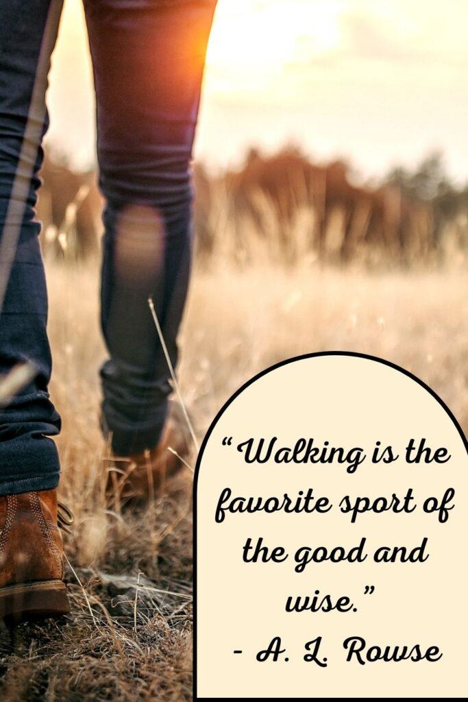 3x1024.jpg67571eb8b55bb - 120 Walking Motivational Quotes