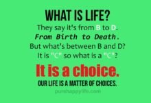 4395 120 relationship life choices quotes 220x150 - 120 Quotes About Wisdom And Life