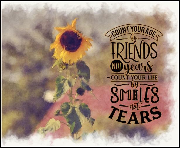 448fEs - 120 Friendship Quotes For Valentine's Day