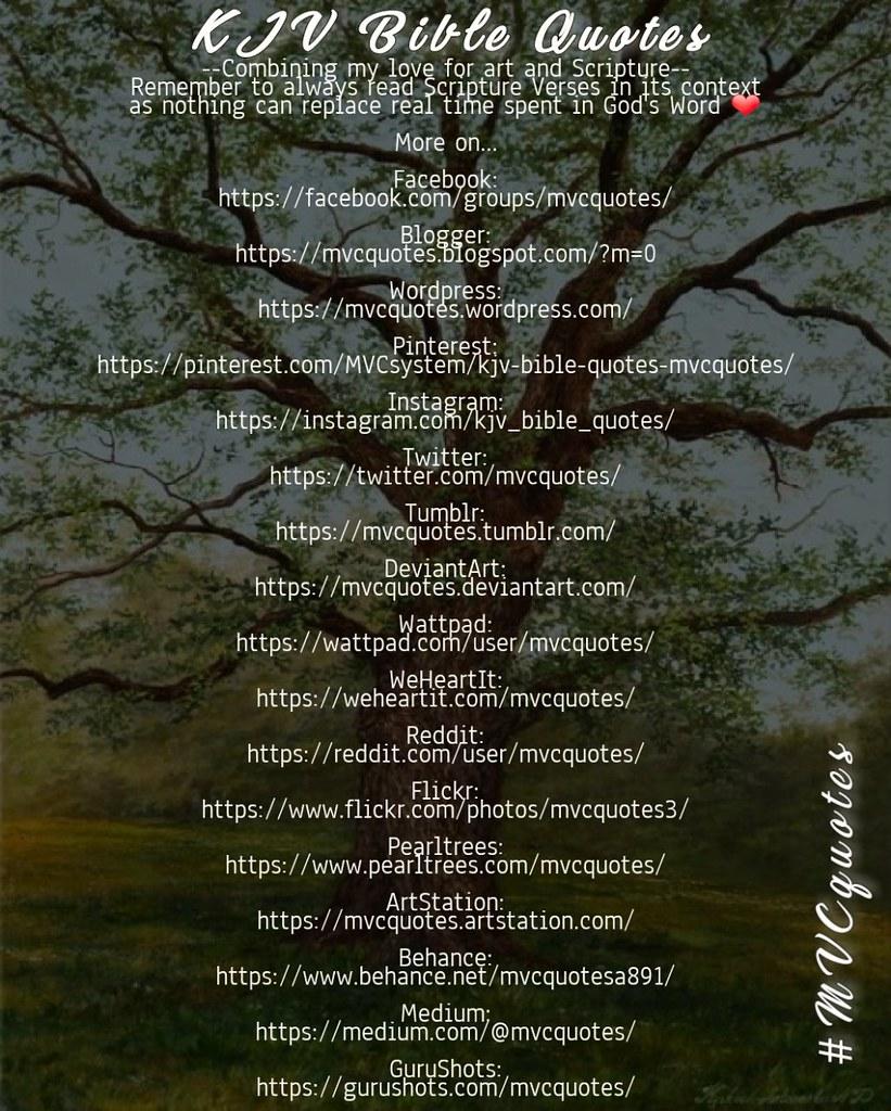4bf8 b.jpg6771e7a64e067 - 120 Quotes About Friendship In The Bible