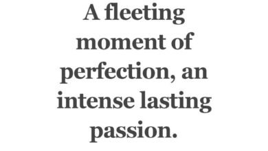 120 Inspirational Quotes For Rejection