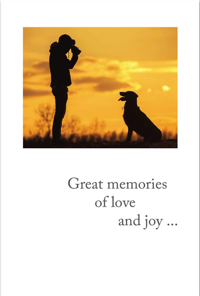 648260 - 120 Caregiver Motivational Quotes