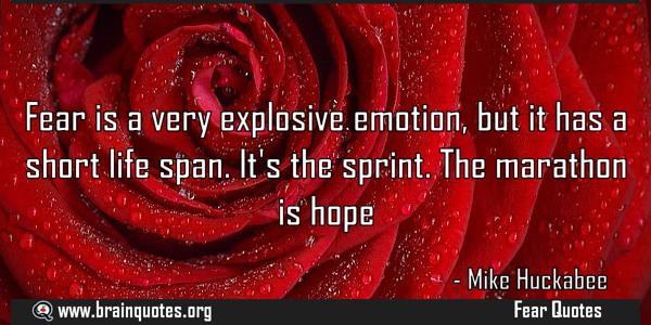 661e z - 120 Flower Quotes About Friendship