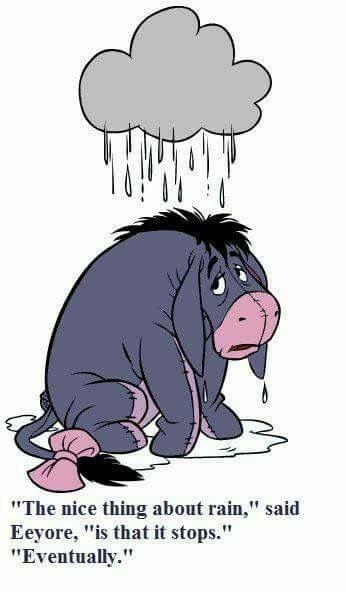 813a09 - 120 Eeyore Quotes About Friendship