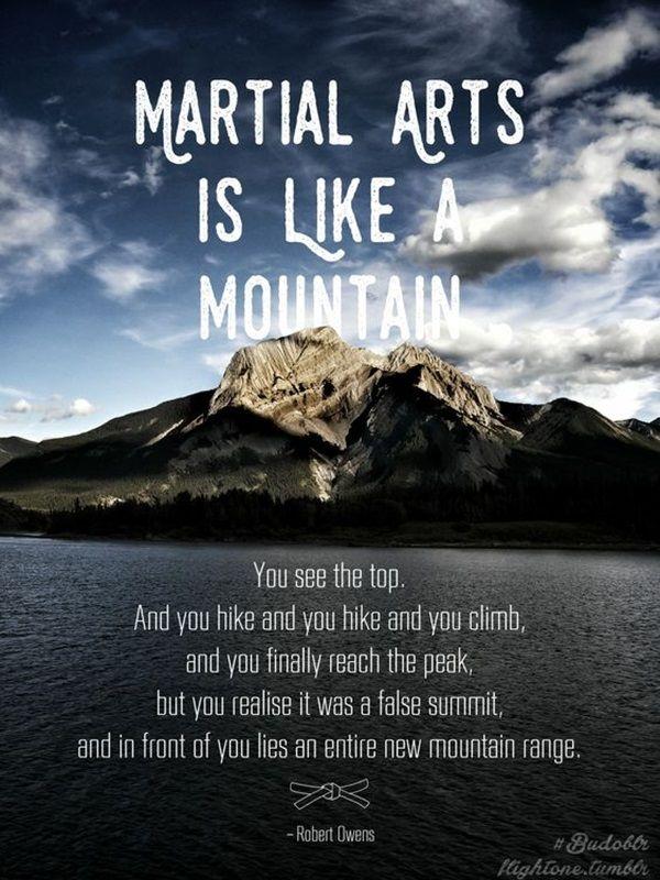9958c8 - 120 Motivational Quotes For Martial Arts