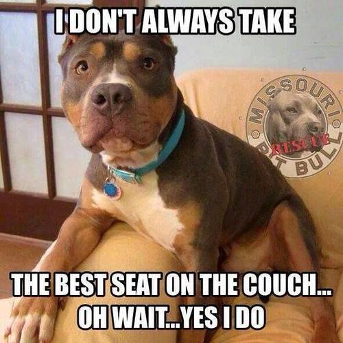 9c5eb3 - 120 Memes Funny Friendship Quotes