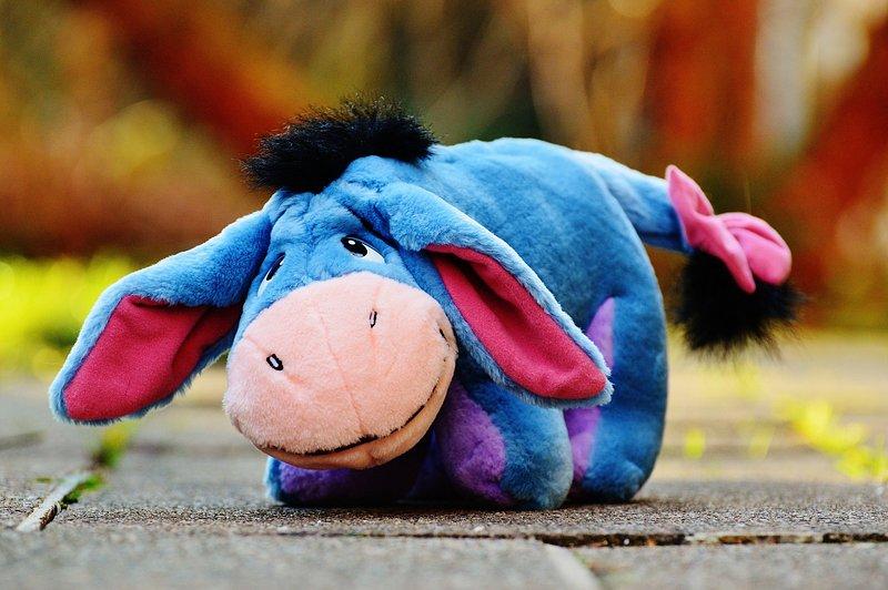 LmpwZw.jpg67697a758b2b1 - 120 Eeyore Quotes About Friendship