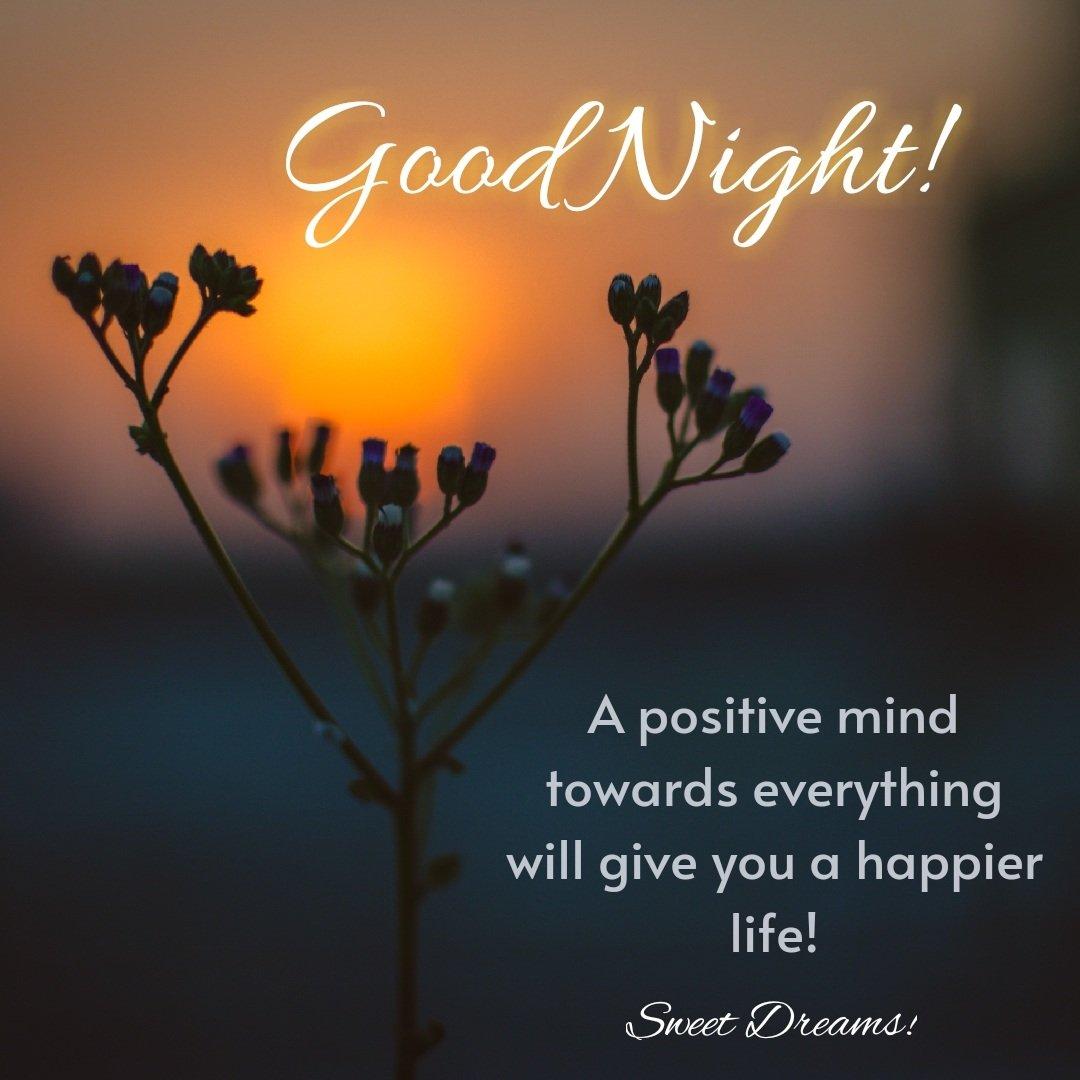 images - 120 Good Night Quotes Friendship