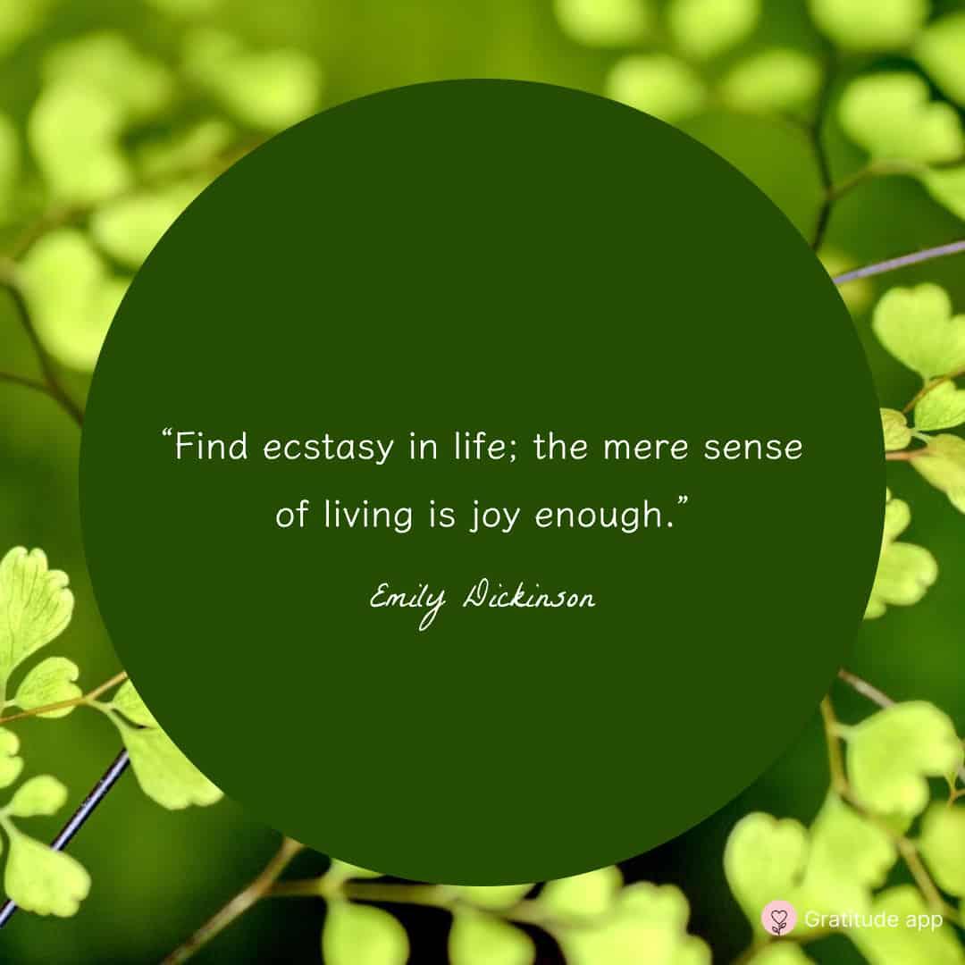 uotes3 - 120 Quotes About Good Life
