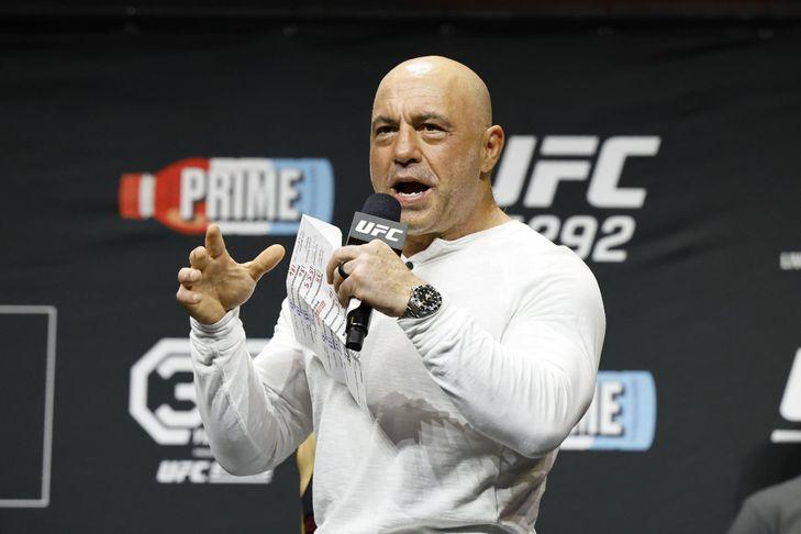 exper.jpg6778b23755ad5 - 120 Joe Rogan Motivation Quote