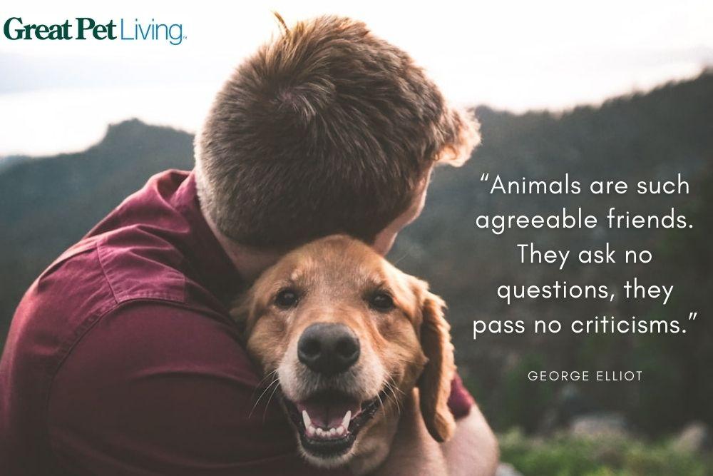 quote - 120 Dog Friendship Quotes