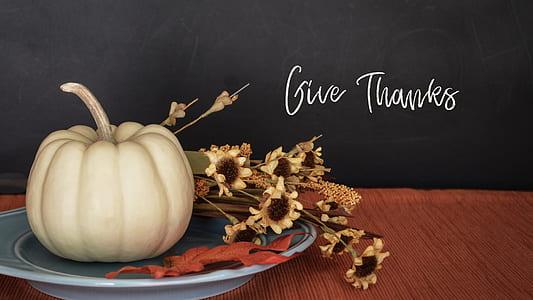 thumb.jpg6779b6c5eec32 - 120 Happy Thanksgiving Quotes Family Friends
