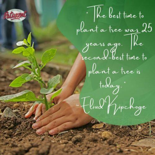 00x500 - 120 Quotes About Gardening And Life