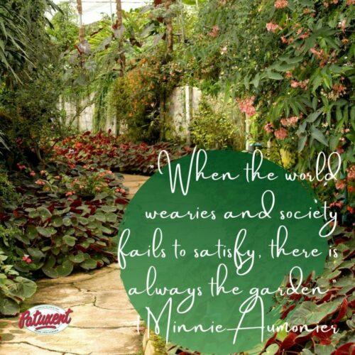 00x500.jpg677a09ebbe261 - 120 Quotes About Gardening And Life