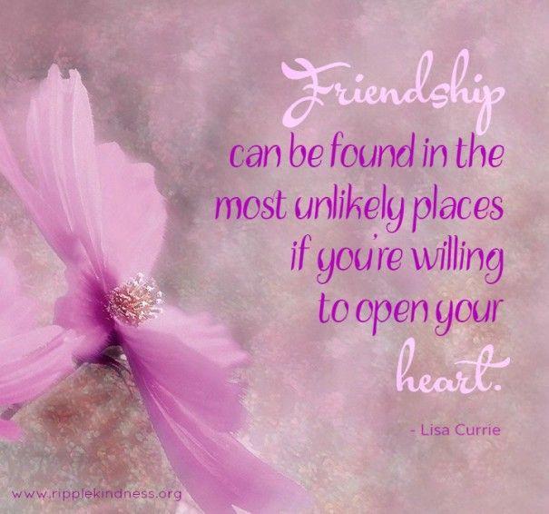 084dfb - 120 Unlikely Friendship Quotes