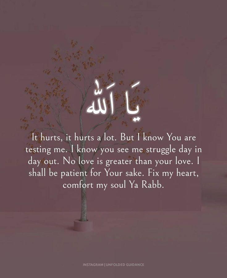 0f1472 - 120 Islamic Quotes On Friendship