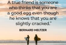 250993 220x150 - 120 Funny Friendship Valentine Quotes