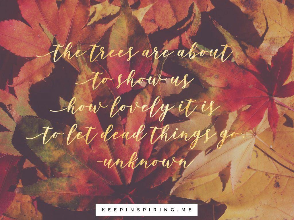 278584 - 120 Fall Friendship Quotes