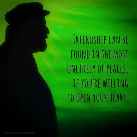 29907c - 120 Unlikely Friendship Quotes