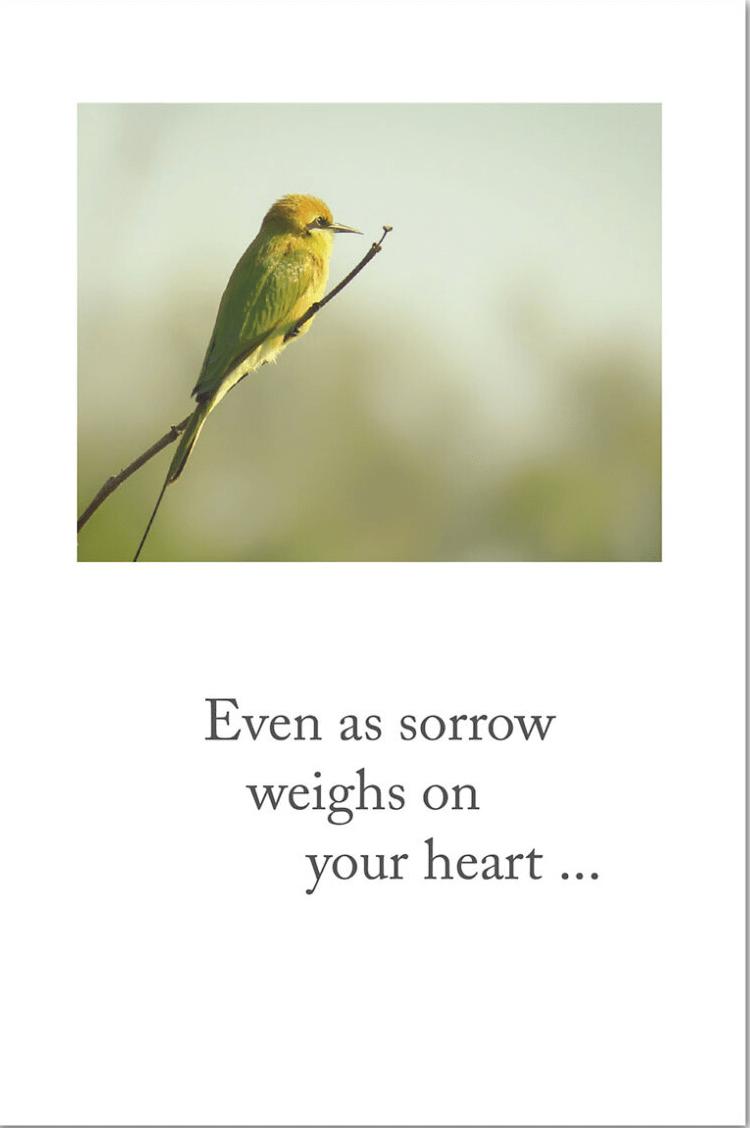 309572 - 120 Happy Thanksgiving Quotes Family Friends