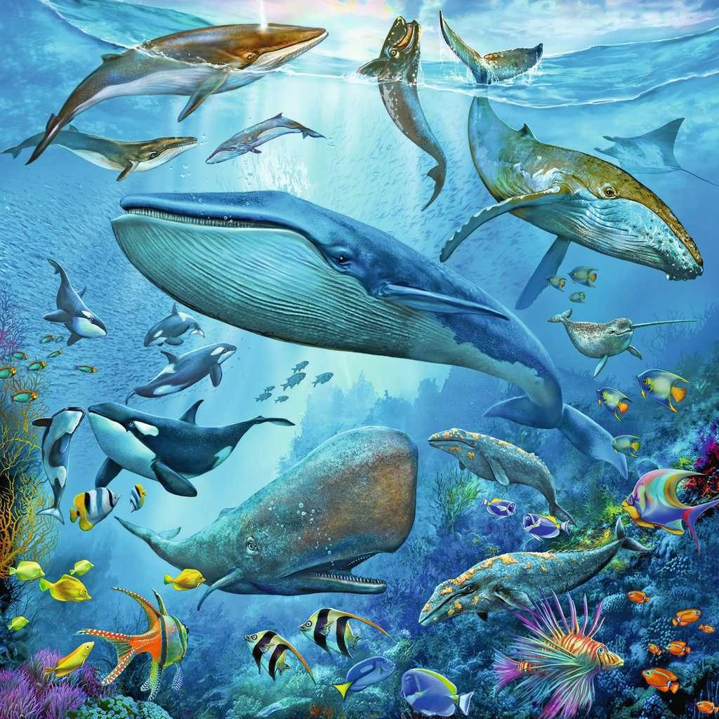49 1 1 - 120 Quotes Ocean Life