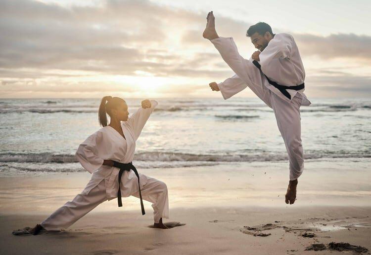 50x517 - 120 Martial Arts Motivational Quotes