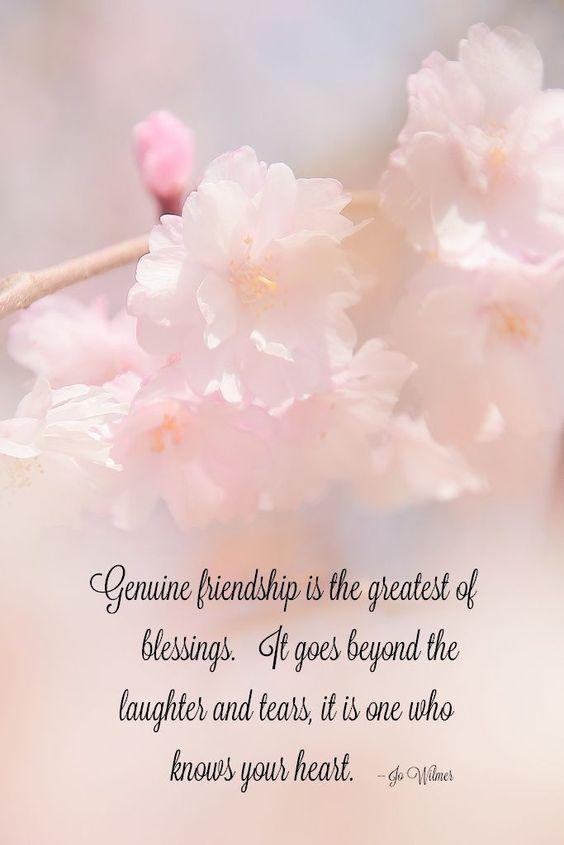 6221 120 genuine friendship quotes - 120 Saying Goodbye To A Friendship Quotes