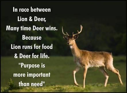 6467 120 motivational hunting quotes - 120 Short Motivational Running Quotes