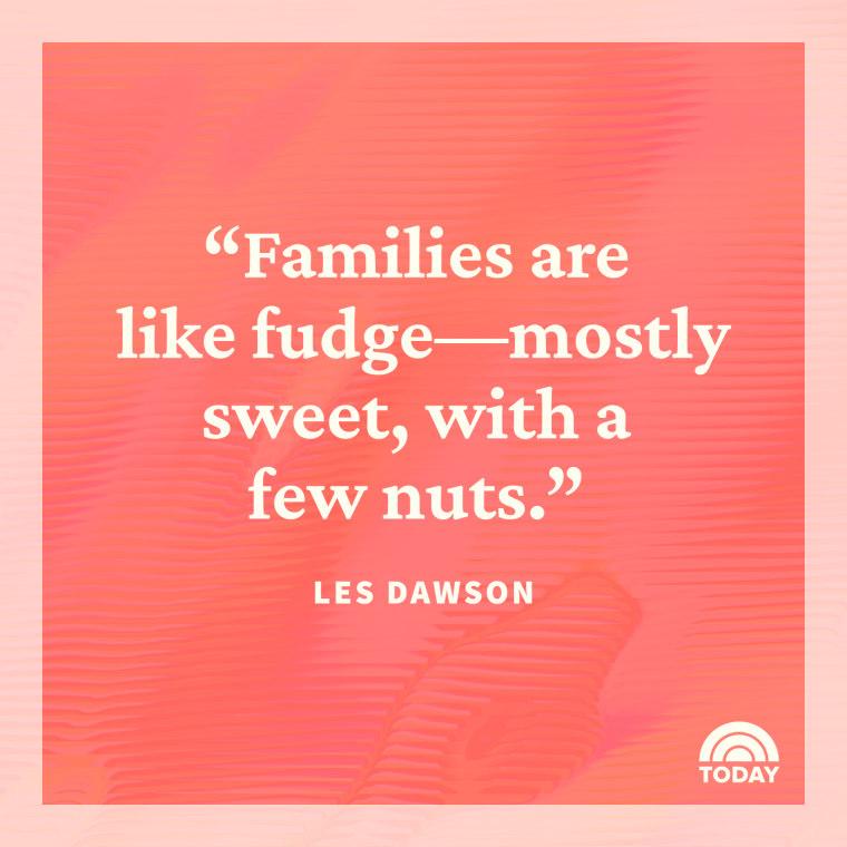 6548e5 - 120 Quotes About Small Family